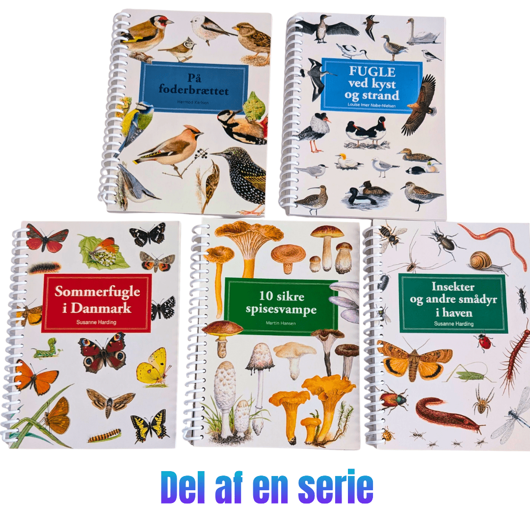 Lommeguide: Insekter og andre smådyr i haven - NaturHandel.dk