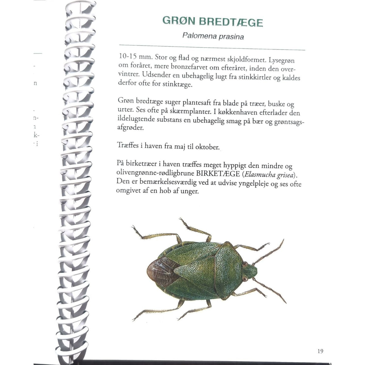 Lommeguide: Insekter og andre smådyr i haven - NaturHandel.dk