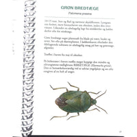 Lommeguide: Insekter og andre smådyr i haven - NaturHandel.dk