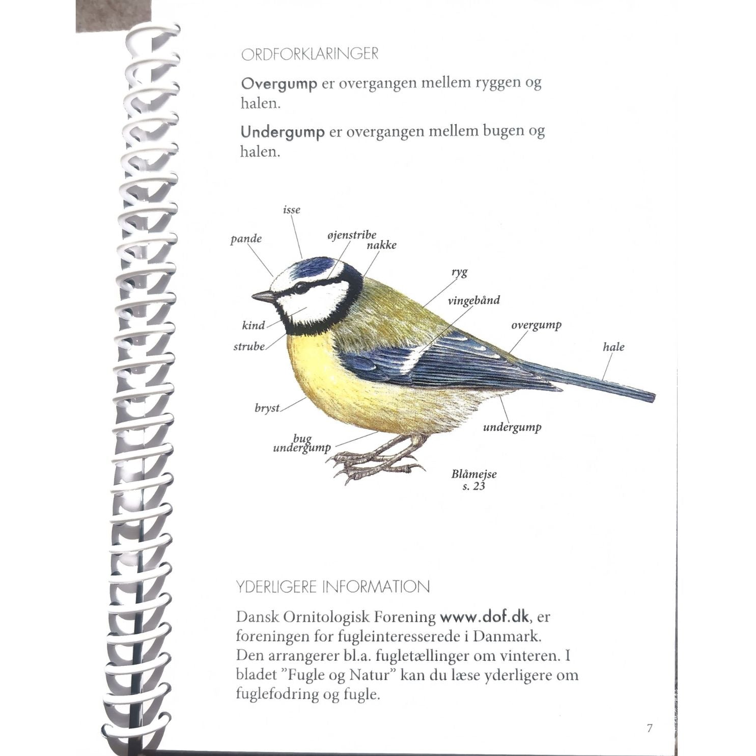 Lommeguide: På foderbrættet - NaturHandel.dk