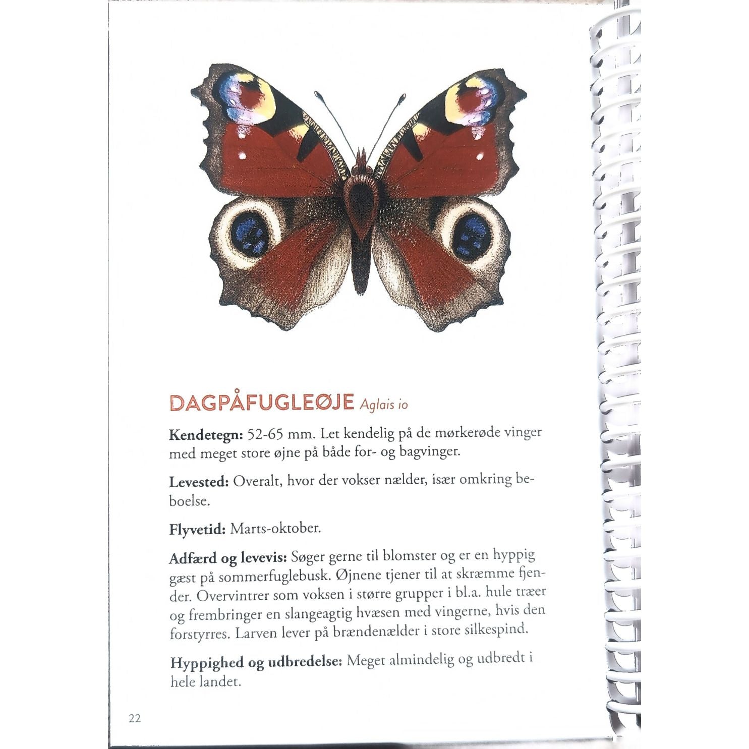 Lommeguide: Sommerfugle i Danmark - NaturHandel.dk