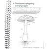 Lommeguide: Svampe i skov og mark - NaturHandel.dk