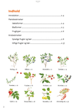 Lommeguide: Vilde frugter og bær - NaturHandel.dk