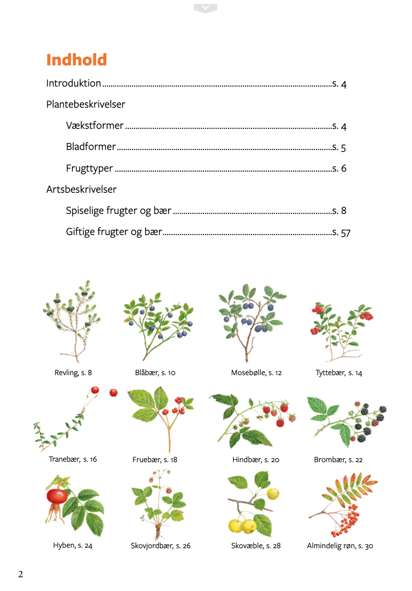 Lommeguide: Vilde frugter og bær - NaturHandel.dk