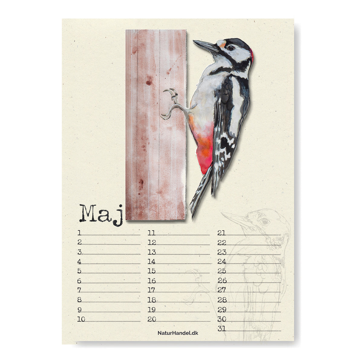 Evighedskalender med fugle i A4 - NaturHandel.dk