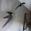 Flyvende Mursejler DecoBird - Håndskåret Træfigur Af Wildlife Garden