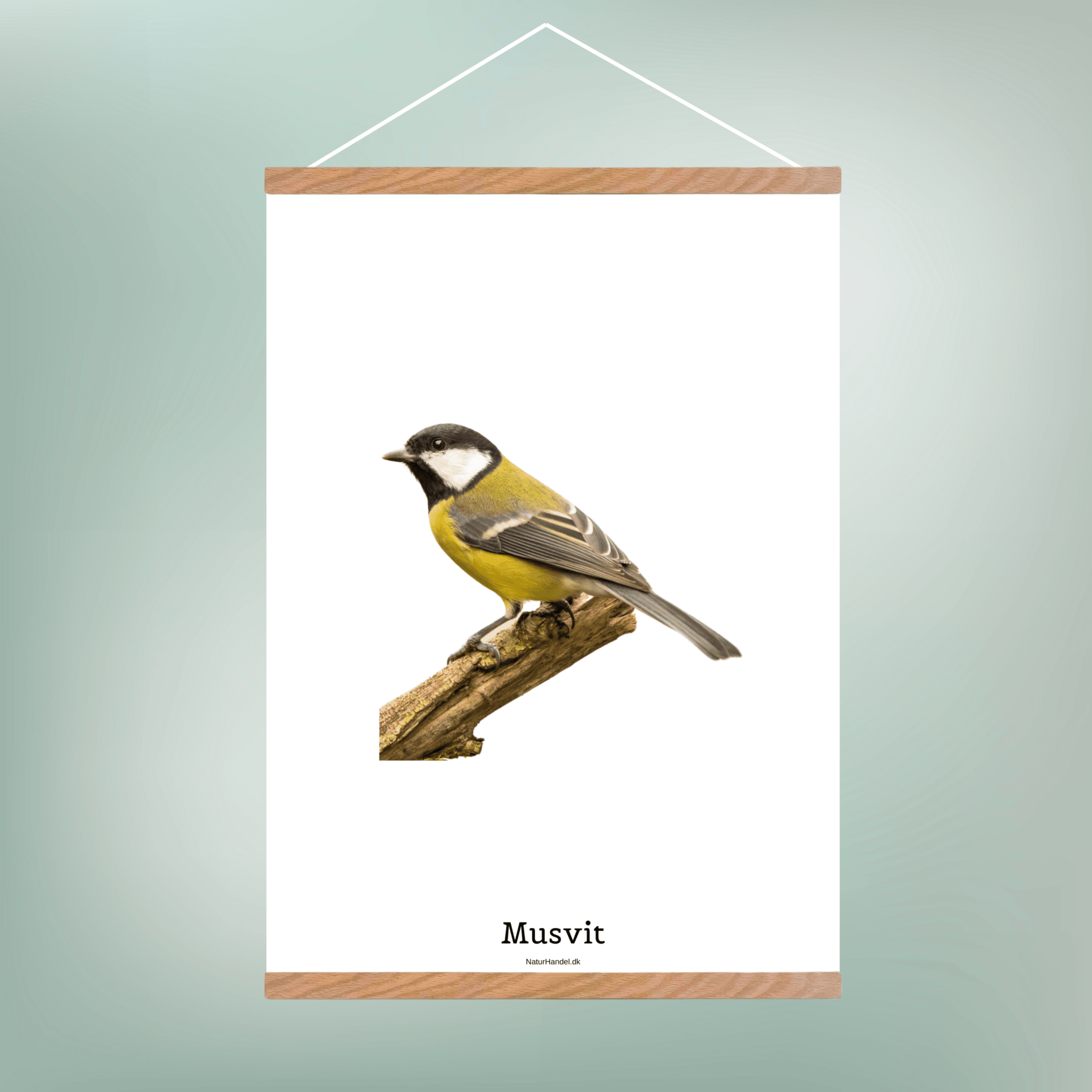 Musvit - NaturHandel.dk