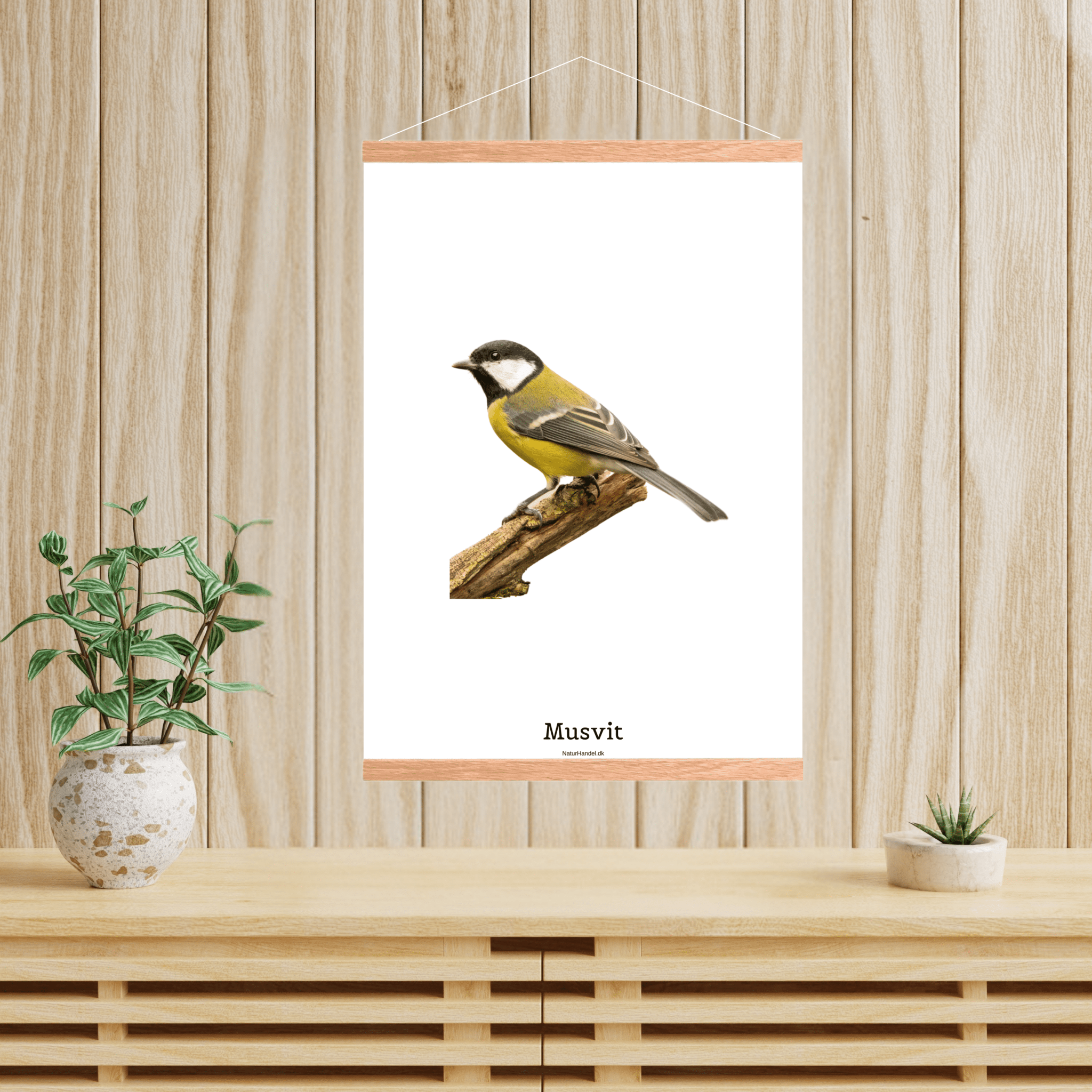 Musvit - NaturHandel.dk