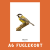 MUSVIT A6 FUGLEKORT - PR. STK. - NaturHandel.dk