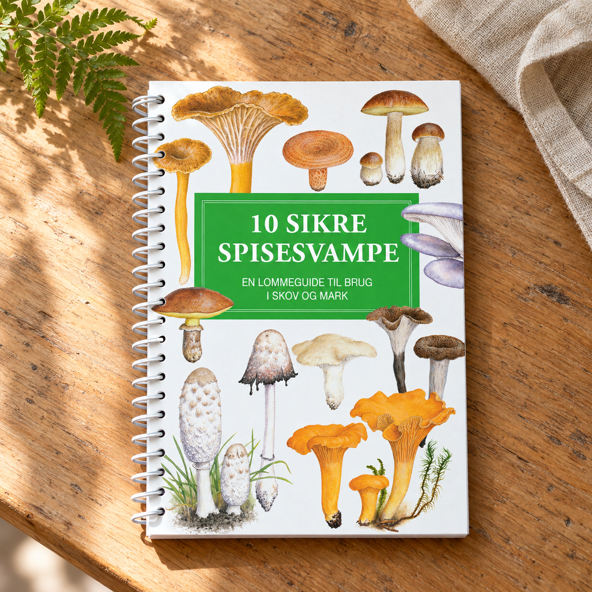 10 sikre spisesvampe – lommeguide i naturlige omgivelser