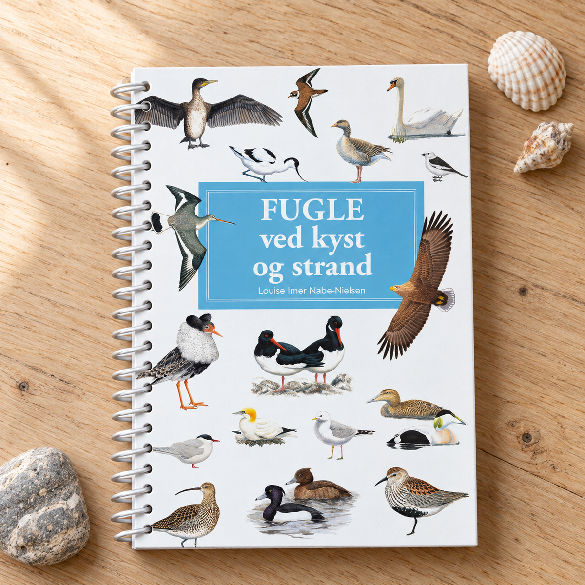 Fugle ved kyst og strand – lommeguide i naturlige omgivelser