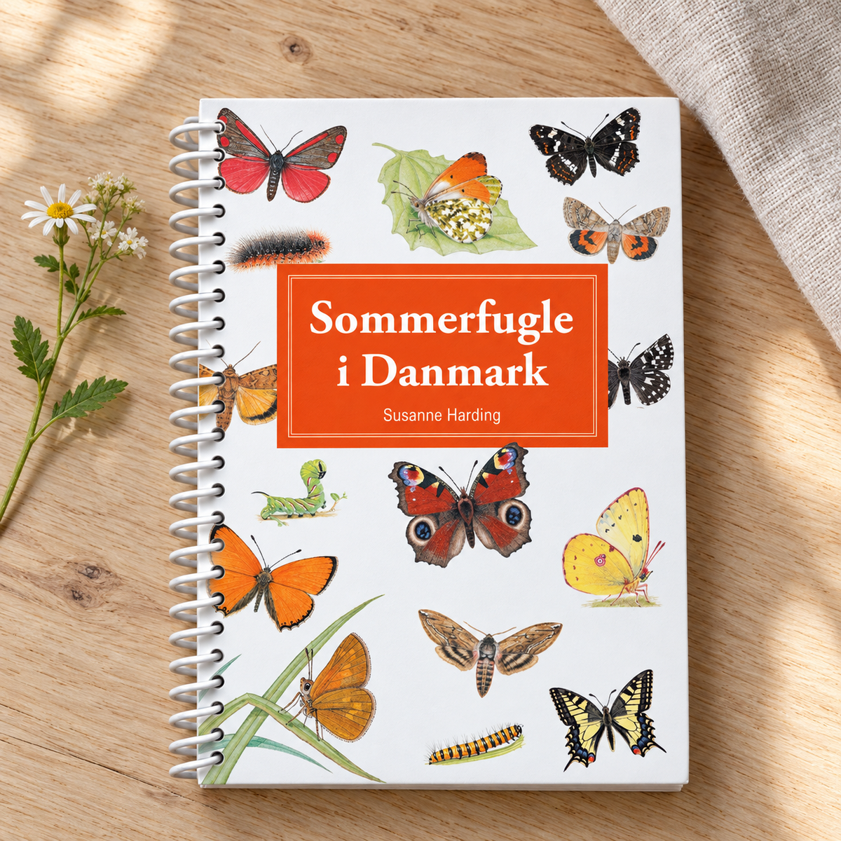 Sommerfugle i Danmark – lommeguide i naturlige omgivelser