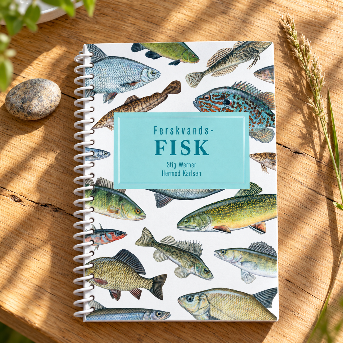 Ferskvandsfisk – lommeguide i naturlige omgivelser