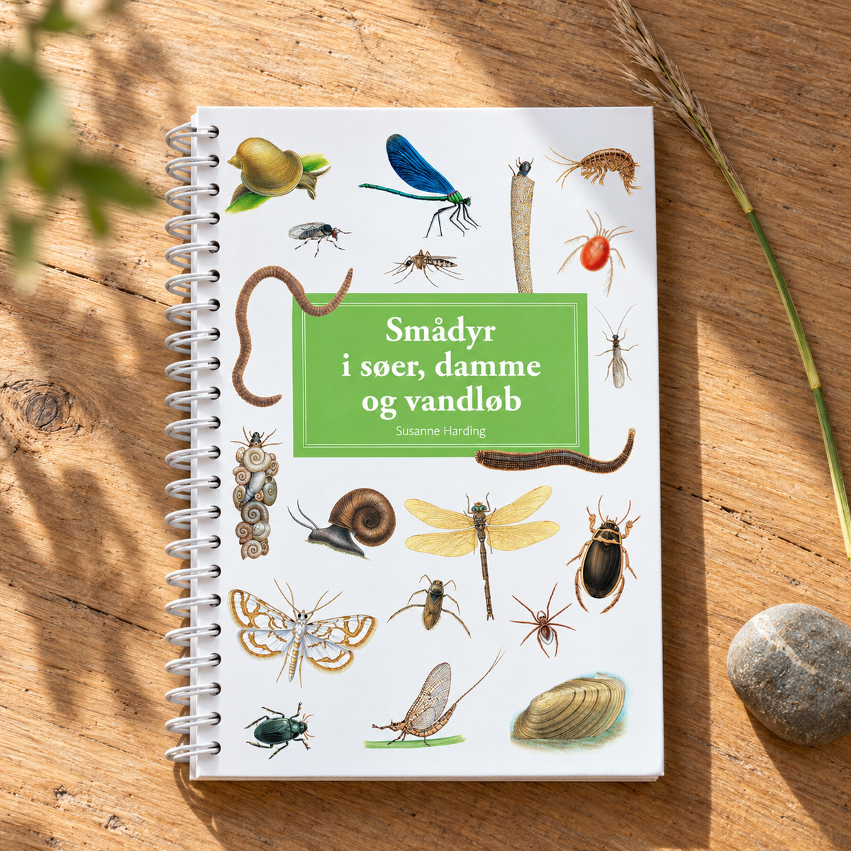 Smådyr i søer, damme og vandløb – lommeguide i naturlige omgivelser