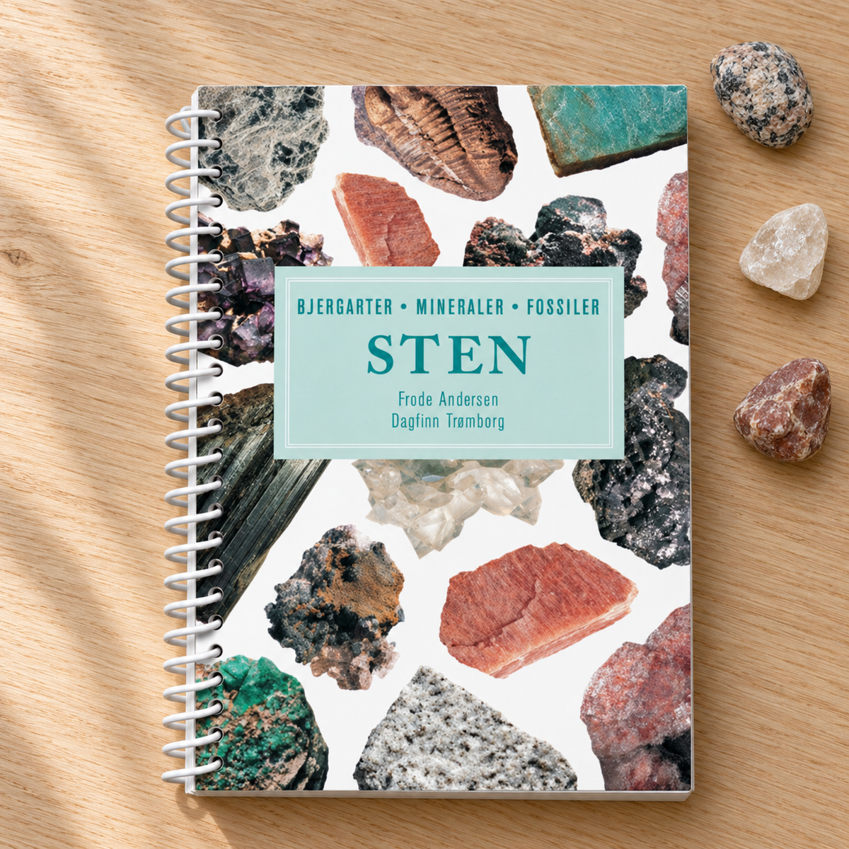 Sten – lommeguide i naturlige omgivelser