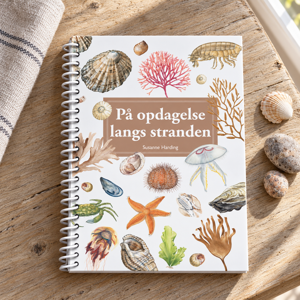 På opdagelse langs stranden – naturguide i naturlige omgivelser