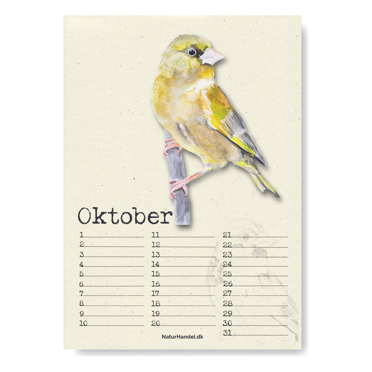 Evighedskalender med fugle i A4 - NaturHandel.dk