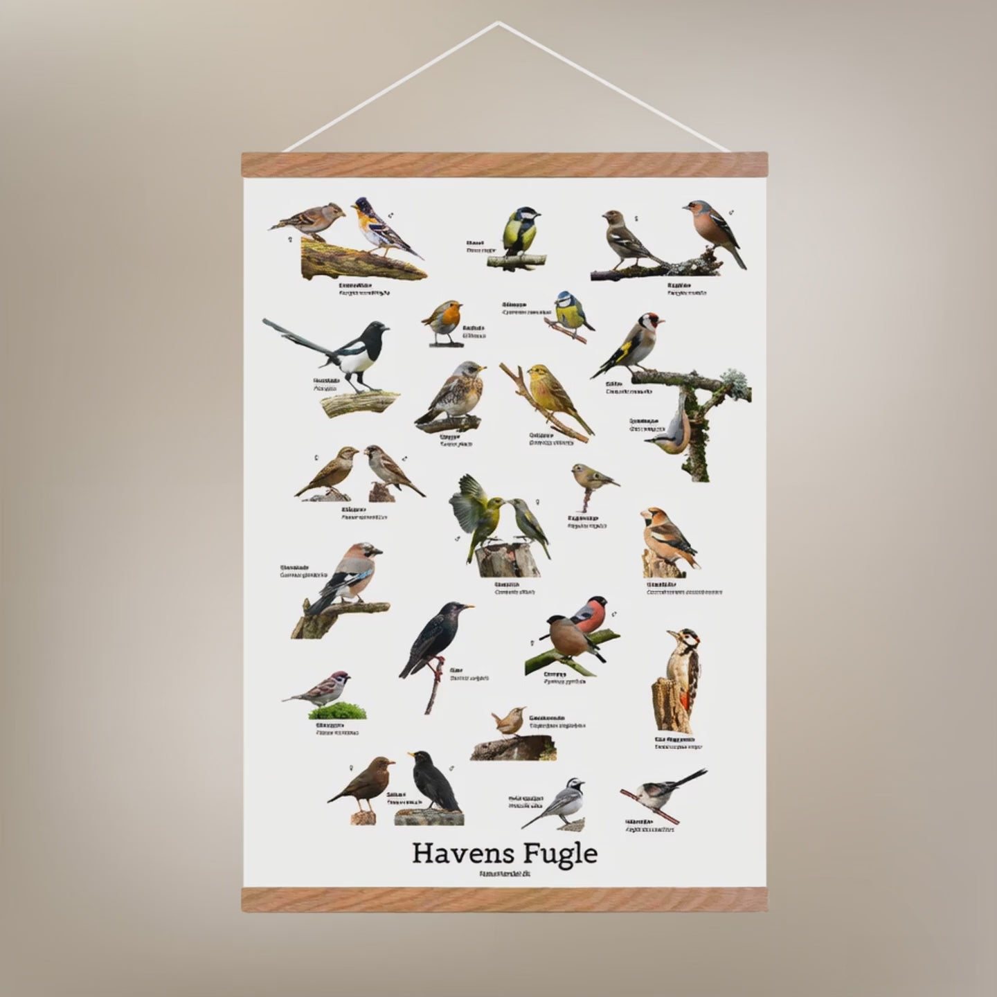 Havens Fugle Plakat