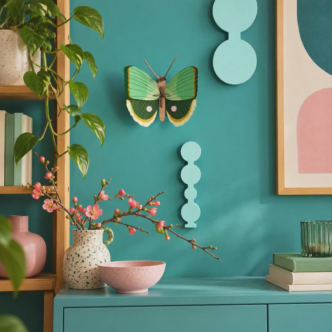 Indlæs video: Fern Striped Butterfly – 3D-vægdekoration fra Studio ROOF