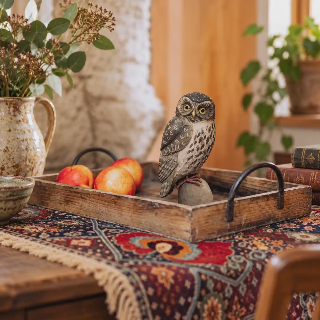 Indlæs video: Kirkeugle – DecoBird-træfugl fra Wildlife Garden