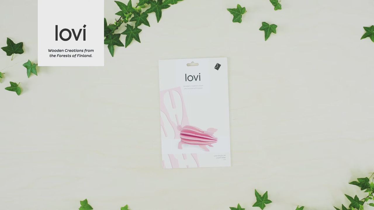 Indlæs video: Gris - Lovi
