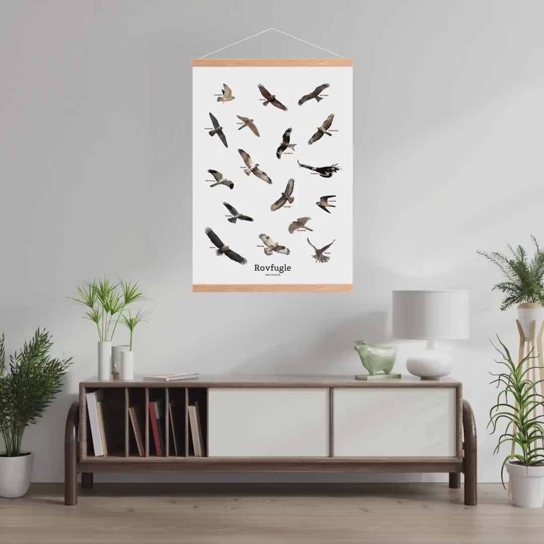 Indlæs video: Flyvende rovfugle – plakat, 50 × 70 cm