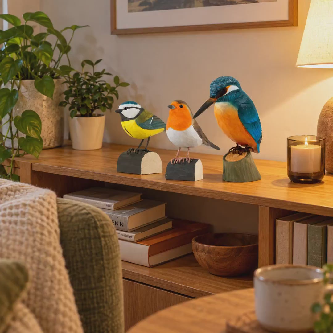 Indlæs video: Isfugl, blåmejse og rødhals – DecoBird-sæt