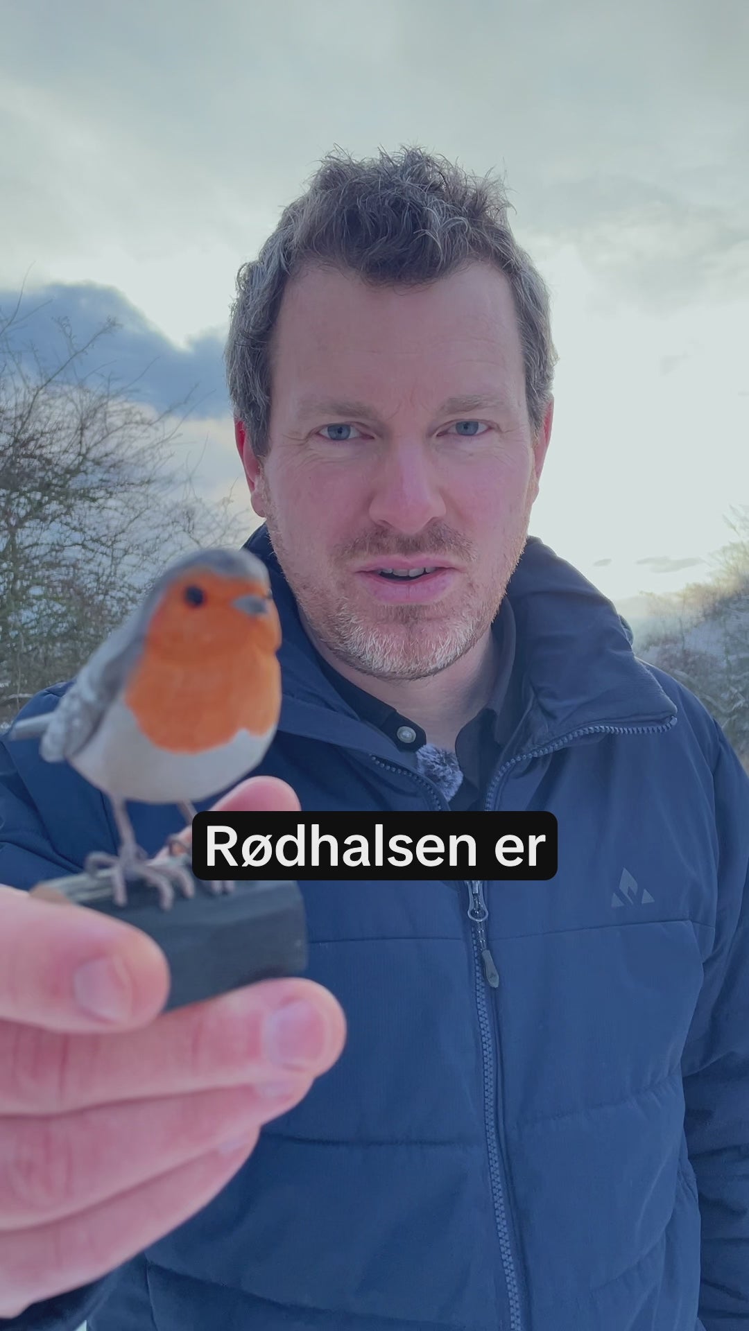 Indlæs video: Rødhals
