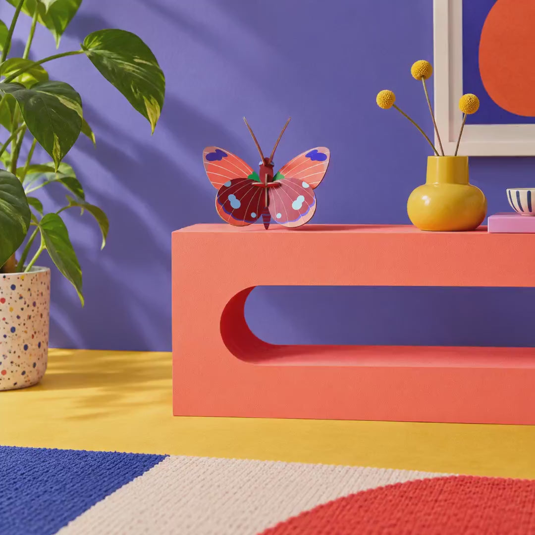 Indlæs video: Delias Butterfly – 3D-vægdekoration fra Studio ROOF