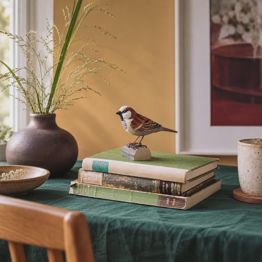 Indlæs video: Gråspurv – DecoBird-træfugl fra Wildlife Garden