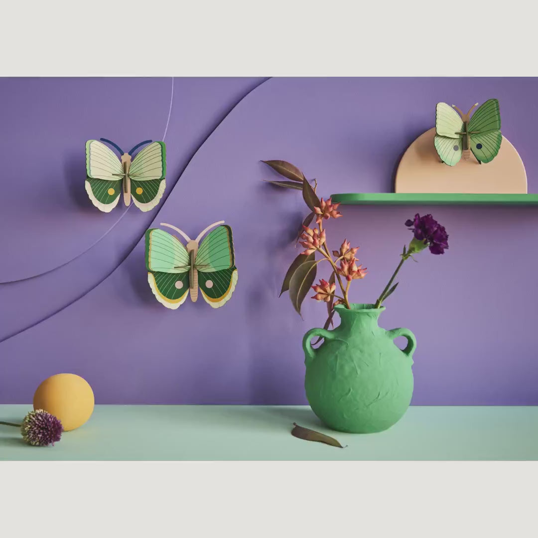 Indlæs video: Fern Striped Butterflies, 3 stk. – 3D-vægdekoration fra Studio ROOF