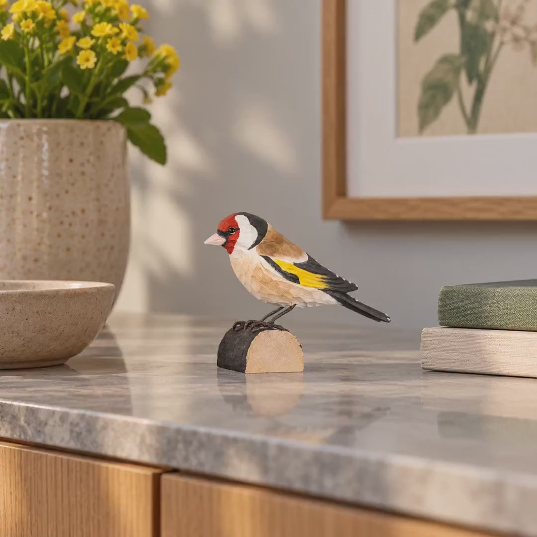 Indlæs video: Stillits – DecoBird-træfugl fra Wildlife Garden