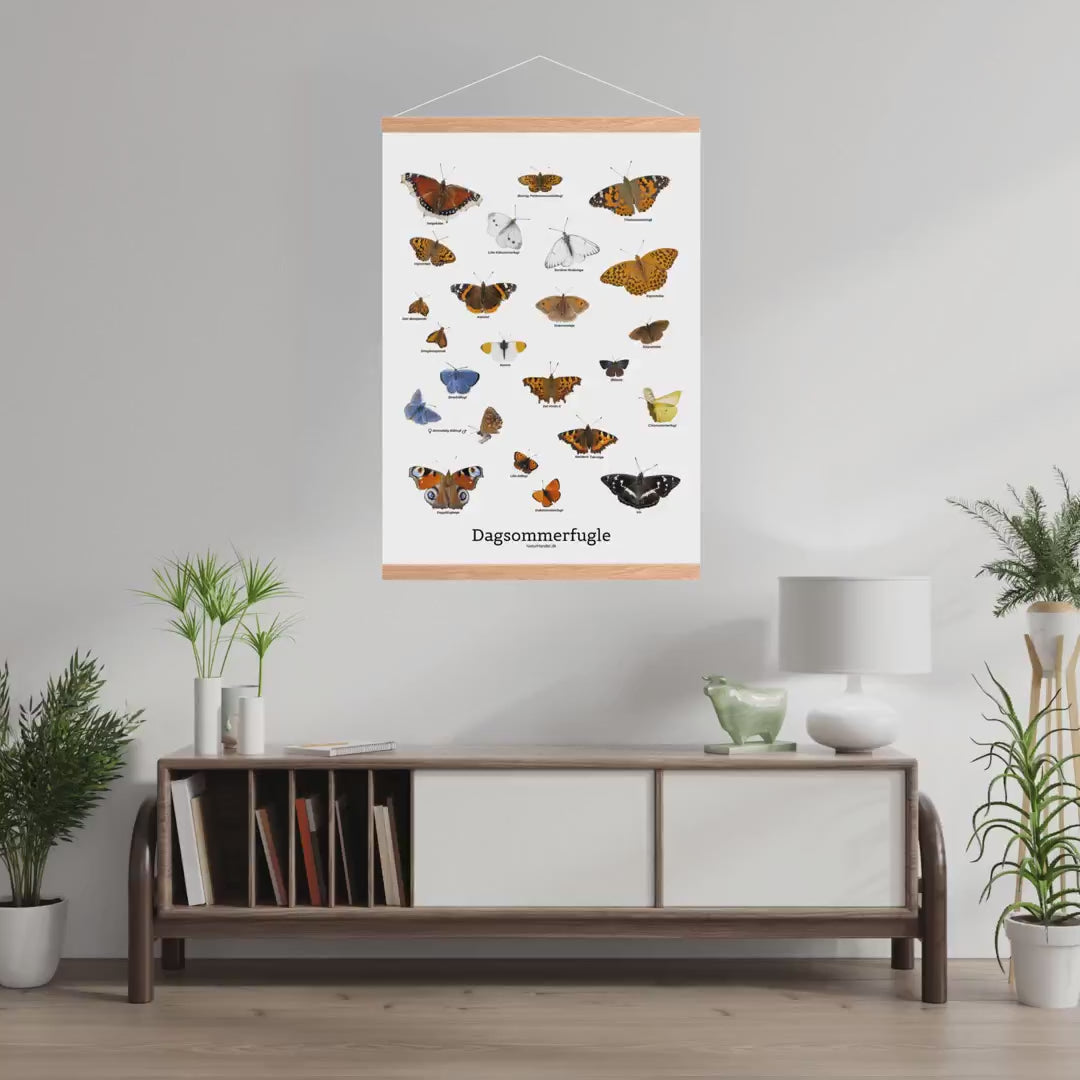 Indlæs video: Sommerfugle – plakat, 50 × 70 cm