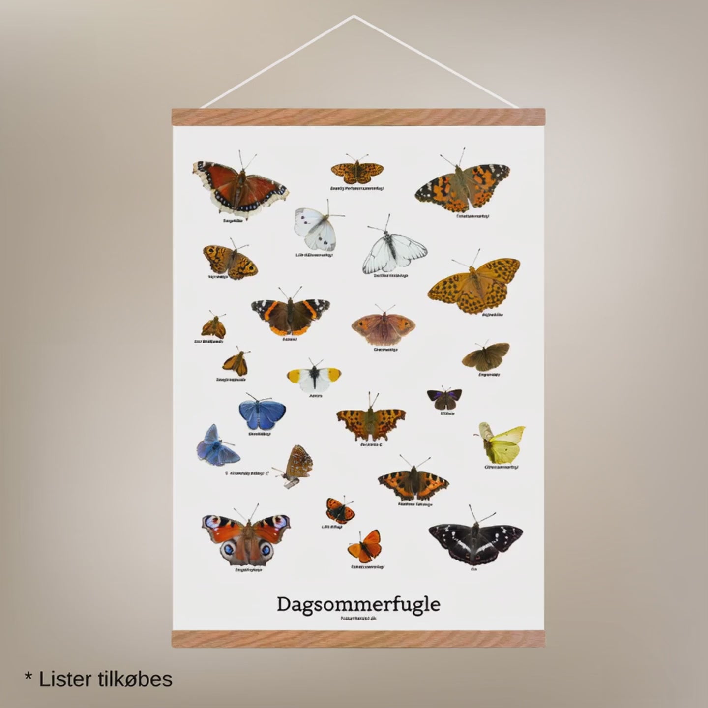 Indlæs video: Sommerfugle Plakat 50x70 cm Ekskl. lister