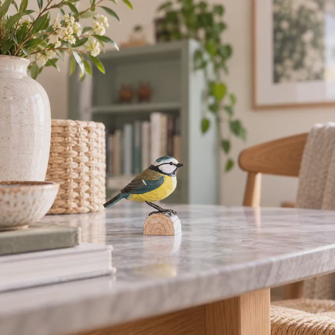 Indlæs video: Blåmejse – DecoBird-træfugl fra Wildlife Garden