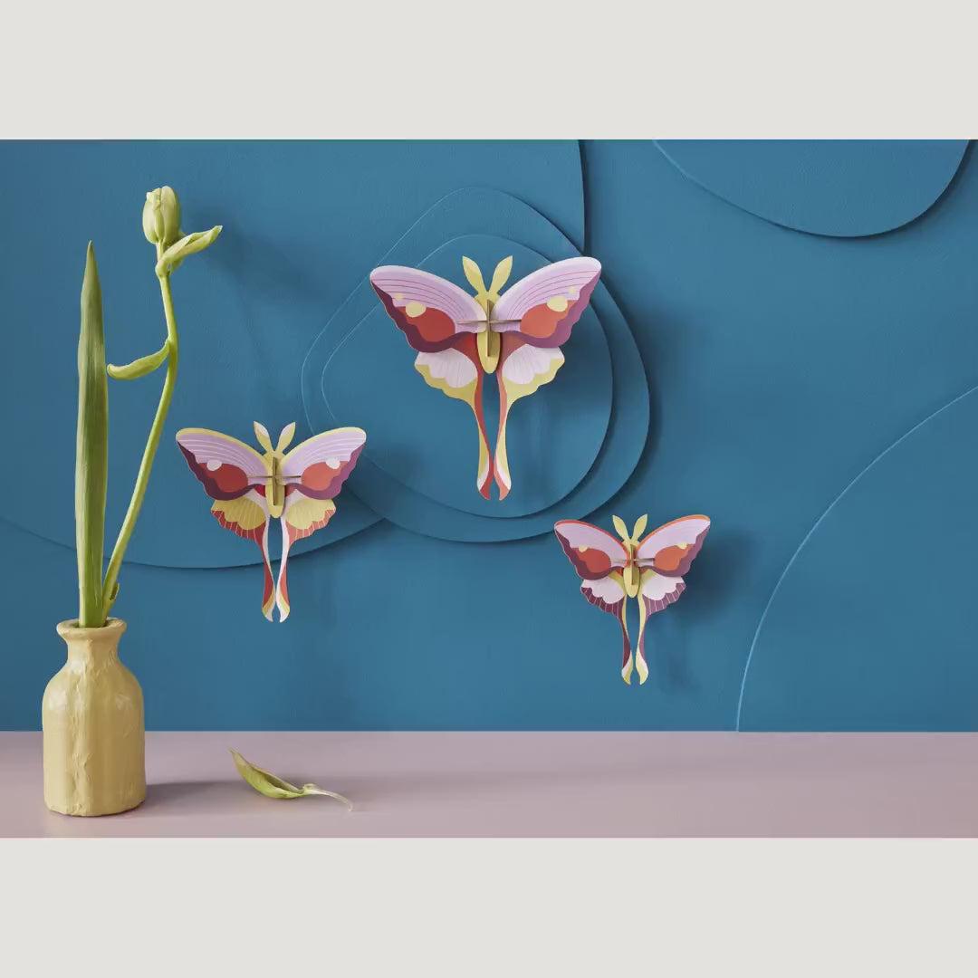 Indlæs video: Lilac Comet Butterflies, 3 stk. – 3D-vægdekoration fra Studio ROOF - Udgår