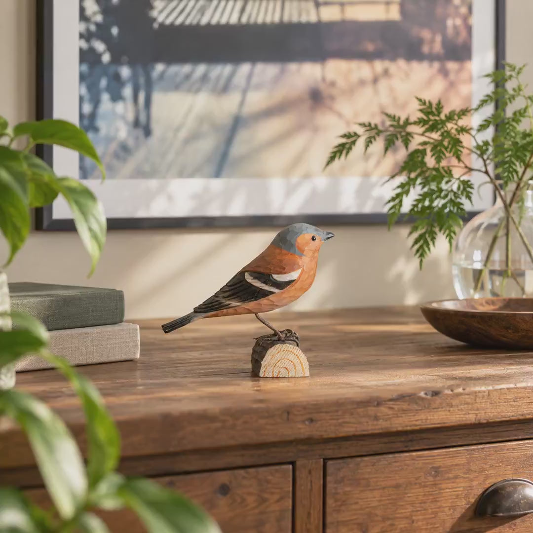 Indlæs video: Bogfinke – DecoBird-træfugl fra Wildlife Garden