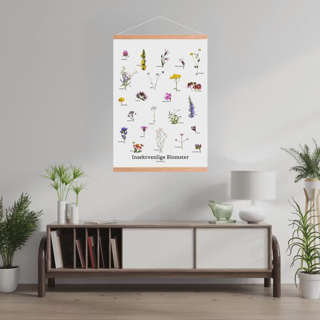 Indlæs video: Insektvenlige blomster – plakat, 50 × 70 cm