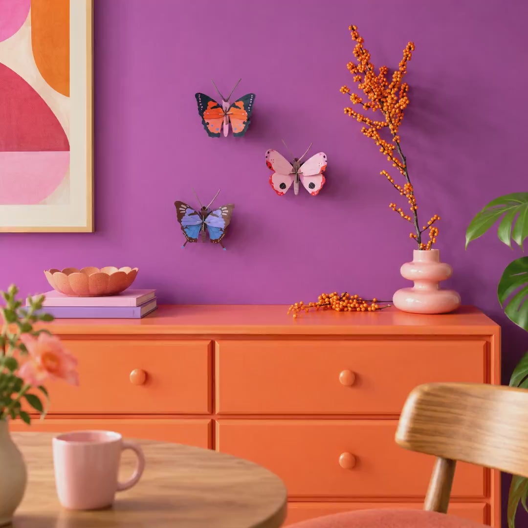 Indlæs video: Rosora Butterfly – 3D-vægdekoration fra Studio ROOF