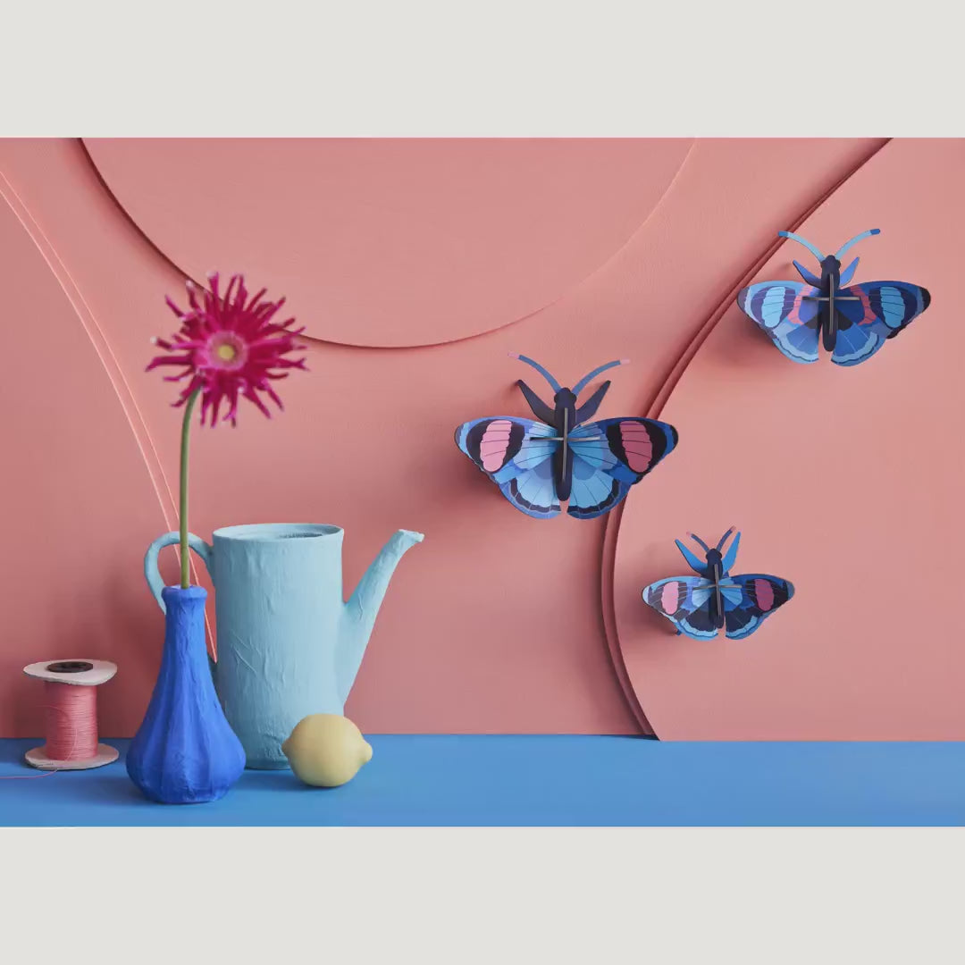 Indlæs video: Peacock Butterflies, 3 stk. – 3D-vægdekoration fra Studio ROOF