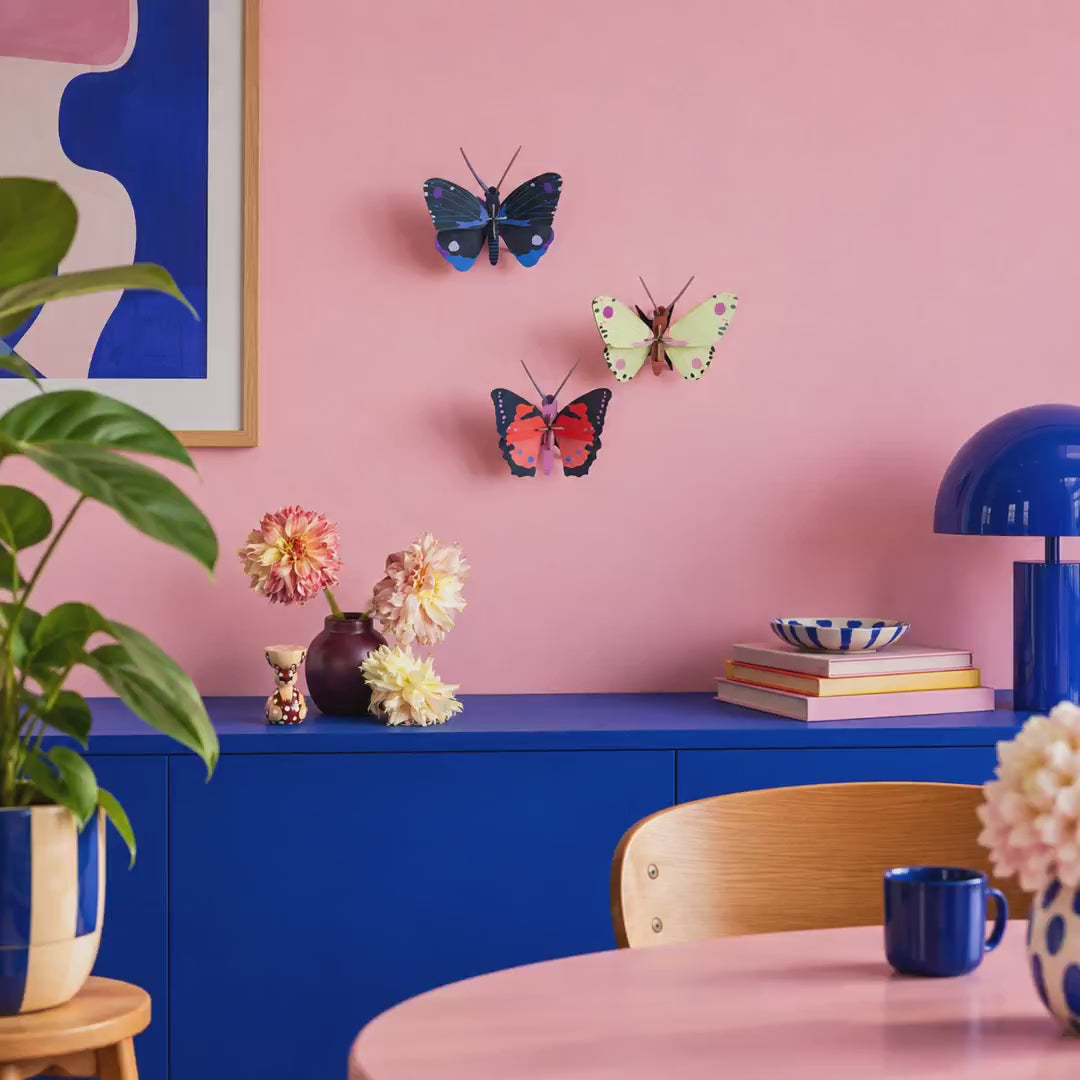 Indlæs video: Blue Diadem Butterfly – 3D-vægdekoration fra Studio ROOF
