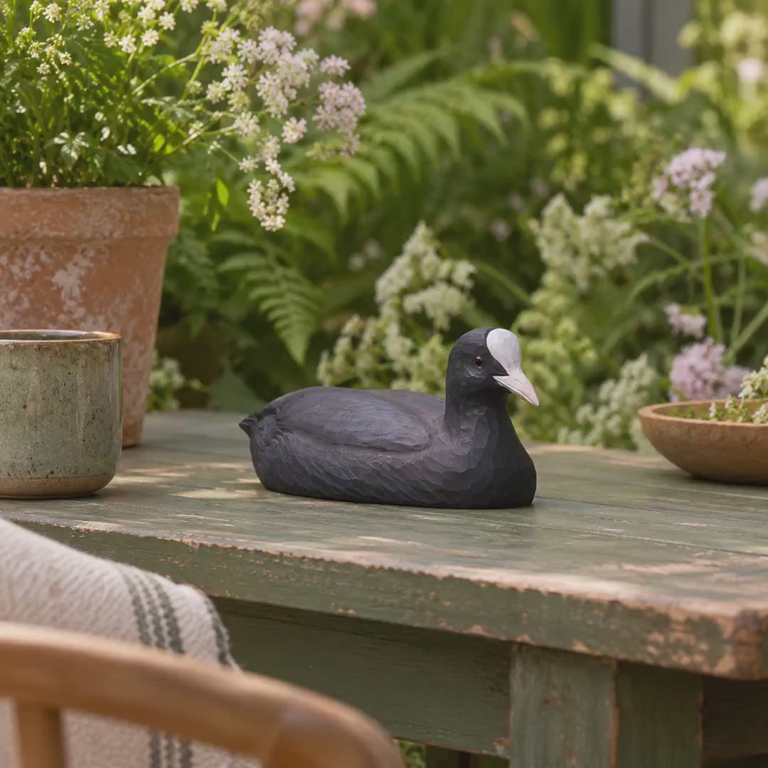 Indlæs video: Blishøne – DecoBird-træfugl fra Wildlife Garden