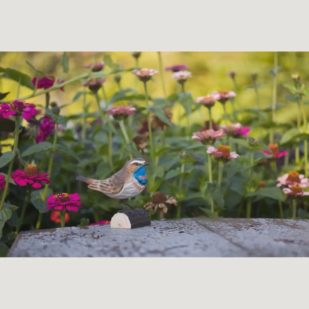 Indlæs video: Blåhals – DecoBird-træfugl fra Wildlife Garden