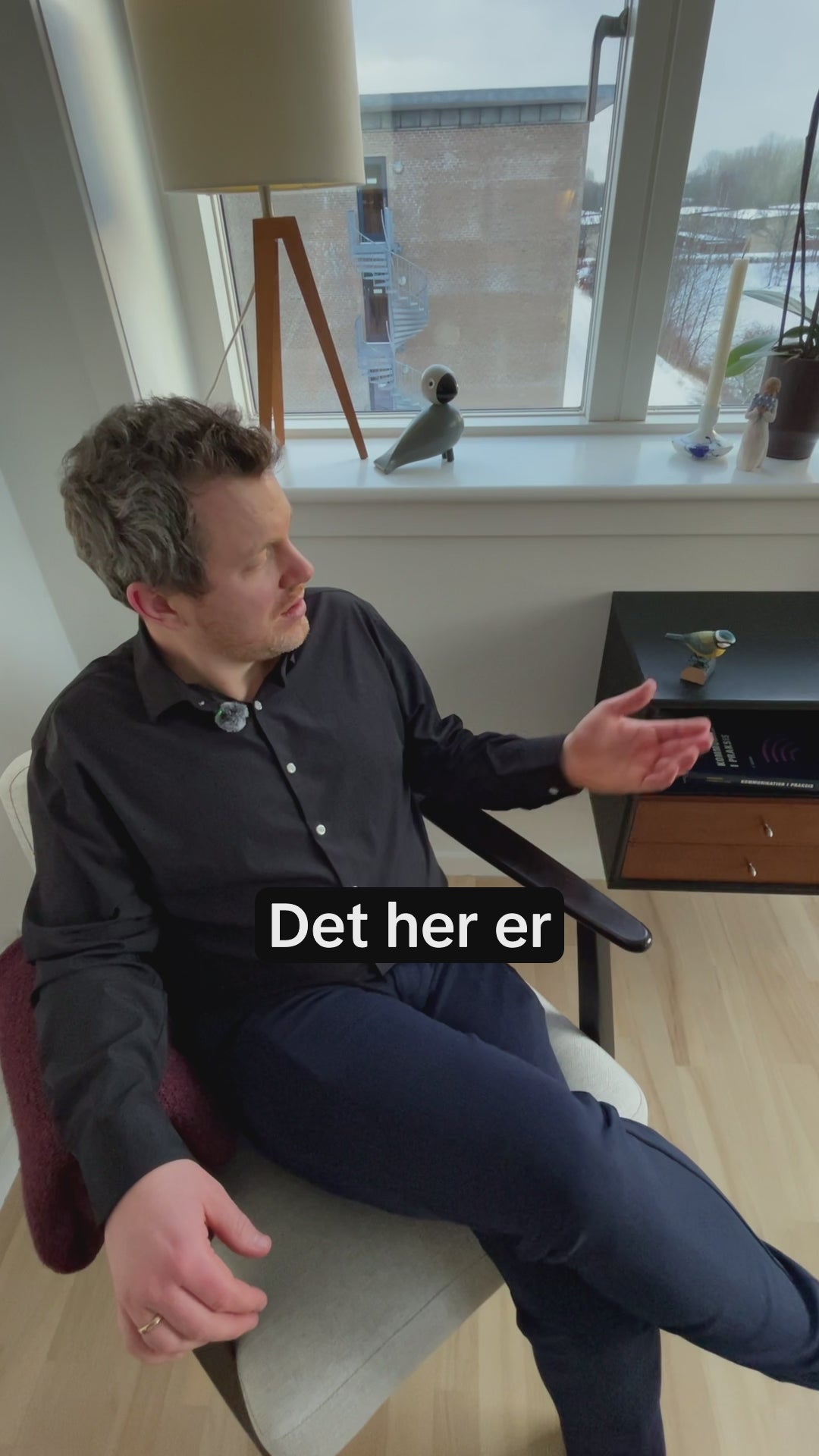 Indlæs video: Blåmejse