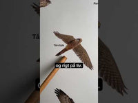 Flyvende Rovfugle Plakat - Ekskl. lister