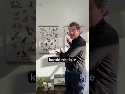 Indlæs video: 