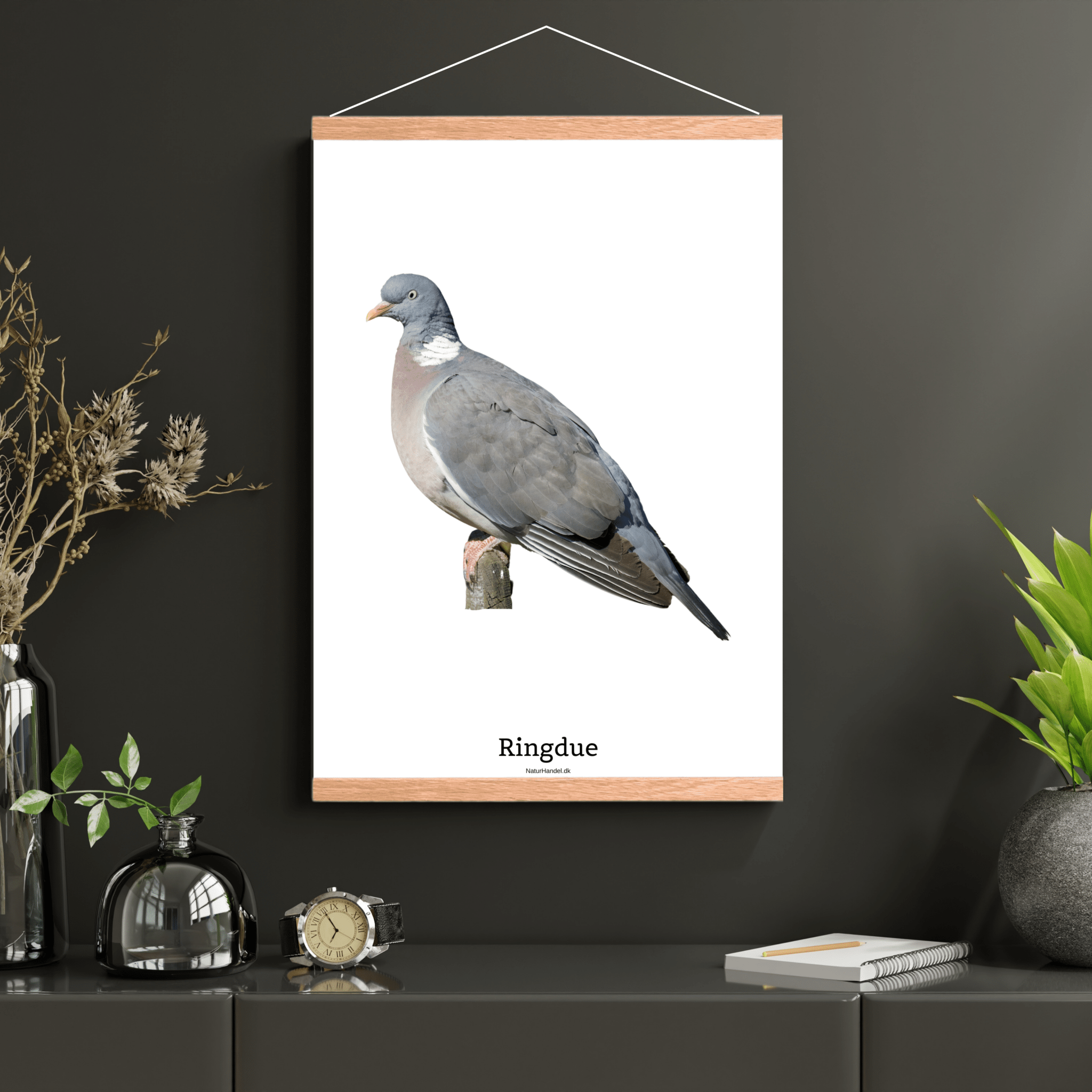 Ringdue - NaturHandel.dk