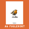RØDHALS A6 FUGLEKORT - PR. STK. - NaturHandel.dk