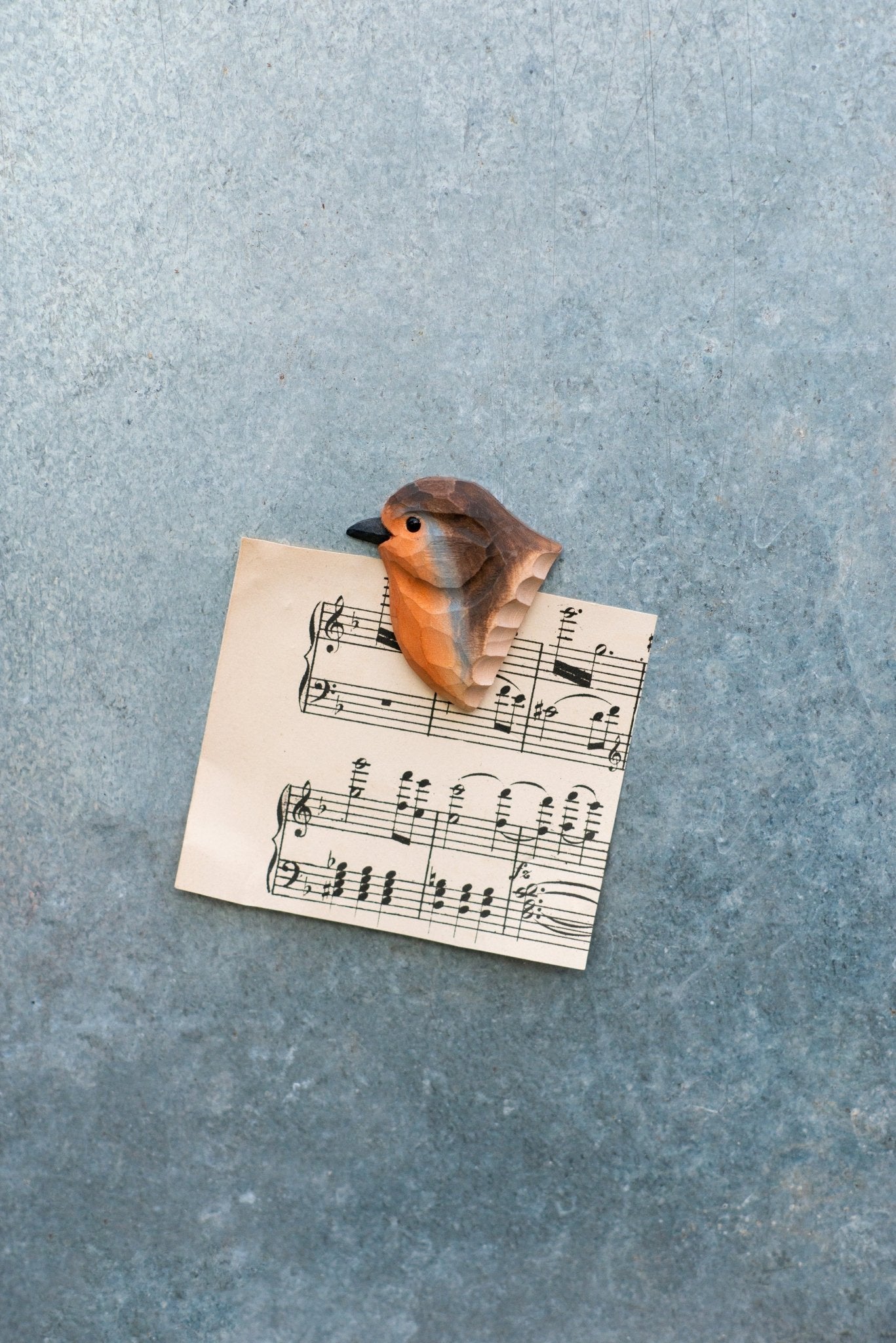 Rødhals Magnet - NaturHandel.dk