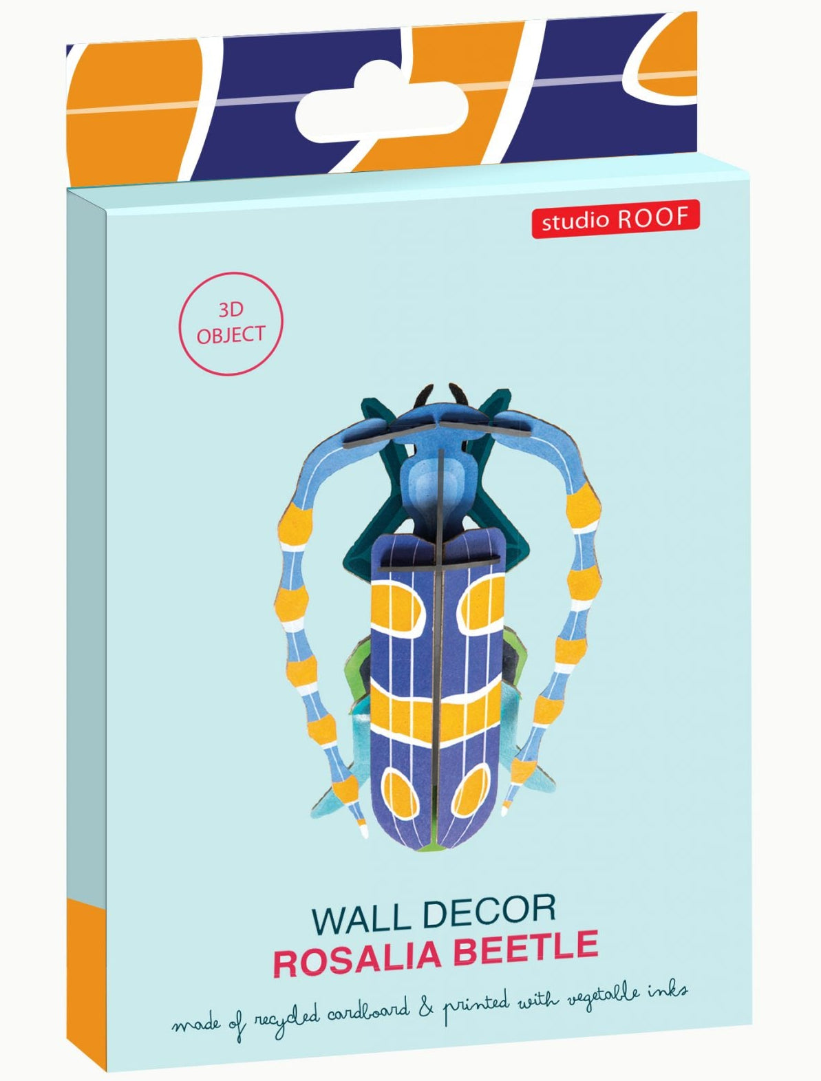 Rosalia Beetle - Studio ROOF